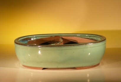 unknown Green Ceramic Bonsai Pot - Oval<br>Land/Water Divider<br><i>11.25 x 9.5 x 3.0</i>