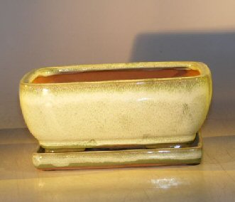 unknown Woodlawn Green Ceramic Bonsai Pot - Rectangle<br>Professional Series with Attached Humidity/Drip tray<br><i>8.5 x 6.5 x 3.5</i>