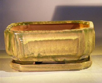 unknown Green Ceramic Bonsai Pot - Rectangle<br>Professional Series with Attached Humidity/Drip tray<br><i>8.5 x 6.5 x 3.5</i>