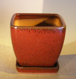 unknown Parisian Red Ceramic Bonsai Pot<br>Square With Attached Tray<br><i>6 x 6 x 6</i>