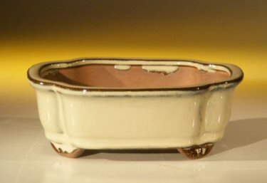 unknown Beige Ceramic Bonsai Pot - Rectangle<br><i>6.125 x 5.0 x 2.125</i>