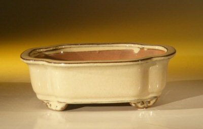 unknown Beige Ceramic Bonsai Pot - Oval<br><i>7.0 x 5.5 x 2.375</i>