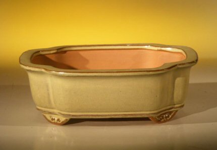 unknown Beige Ceramic Bonsai Pot - Oval<br><i>8.0 x 6.25 x 2.5</i>
