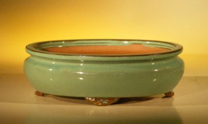unknown Green Ceramic Bonsai Pot - Oval<br><i>10 x 8 x 3.125</i>