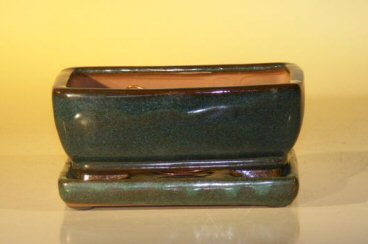 unknown Green Ceramic Bonsai Pot  With Attached Humidity/Drip tray - Professional Series<BR>Rectangle<br>6.37 x 4.75 x 2.625
