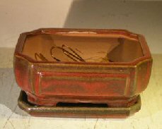 unknown Parisian Red Ceramic Bonsai Pot - Rectangle<br>Professional Series with Attached Humidity/Drip tray<br><i>6.37 x 4.75 x 2.625</i>