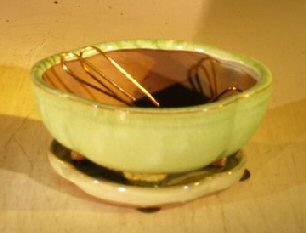 unknown Woodlawn Green Ceramic Bonsai Pot<br>Round Petal Shape<br><i>6.0 x 4.75 x 2.5</i>