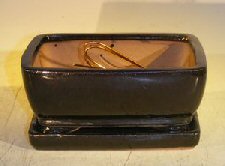 unknown Black Ceramic Bonsai Pot- Rectangle<br>Professional Series with Attached Humidity/Drip Tray<br>6.37 x 4.75 x 2.625
