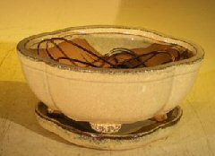 unknown Beige Ceramic Bonsai Pot<br>Lotus Shaped<br>Professional Series Oval with Attached Humidity/Drip Tray<br>6.37 x 4.75 x 2.625