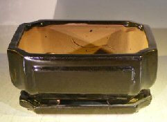 unknown Black Ceramic Bonsai Pot- Rectangle<br>Professional Series With Attached Humidity/Drip Tray<br>8.5 x 6.75 x 4.0