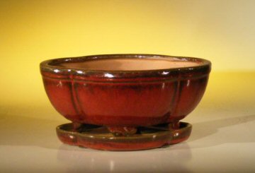 unknown Parisian Red Ceramic Bonsai Pot - Oval<br>Professional Series with Attached Humidity/Drip tray<br><i>8.5 x 6.5 x 3.5</i>
