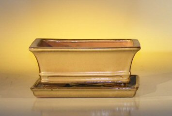 unknown Mustard Color Ceramic Bonsai Pot - Rectangle<br>Professional Series with Attached Humidity/Drip tray<br><i>8.5 x 6.5 x 3.5</i>