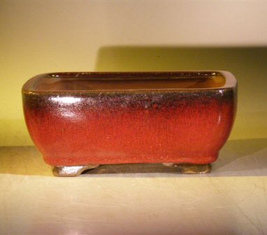 unknown Parisian Red Ceramic Bonsai Pot - Rectangle<br>Professional Series<br><i>8 x 6 x 3</i>