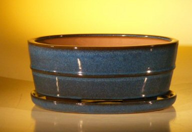 unknown Blue Ceramic Bonsai Pot- Oval<br>Professional Series with Attached Humidity/Drip tray<br>10.0 x 7.5 x 4.5