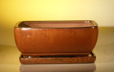 unknown Aztec Orange Ceramic Bonsai Pot - Rectangle<br>Attached Humidity/Drip tray<br><i>10.5 x 8.0 x 4.5</i>