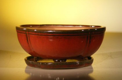 unknown Parisian Red Ceramic Bonsai Pot - Oval<br>Lotus Shaped<br>Professional Series With Attached Humidity/Drip tray<br><i>10.75 x 8.5 x 4.125</i>