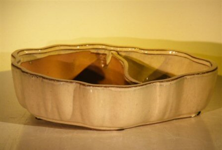 unknown Biege Ceramic Bonsai Pot - Oval<br>Land/Water  with Scalloped Edges<br><i>9.5 x 7.5 x 2.25</i>