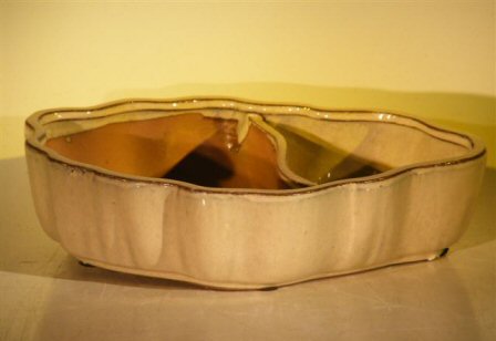 unknown Beige Ceramic Bonsai Pot - Oval<br>Land/Water with Scalloped Edges<br><i>12 x 9.5 x 3</i>