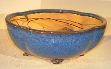unknown Blue Ceramic Bonsai Pot- Oval<br>Lotus Shaped<br>Professional Series<br>10.5 x 9.0 x 4.0