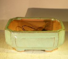 unknown Green Ceramic Bonsai Pot - Rectangle<br>Professional Series<br>8.25 x 6.25 x 4.0