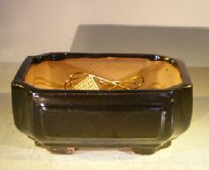 unknown Black Ceramic Bonsai Pot - Rectangle<br>Professional Series<br>8.25 x 6.25 x 4.0
