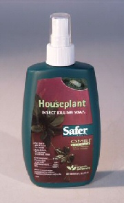 unknown Safer Insect Soap In A Spray Bottle