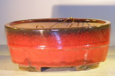 unknown Parisian Red Ceramic Bonsai Pot - Oval<br>Professional Series<br><i>10 x 8 x 4</i>