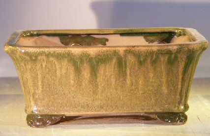 unknown Green Ceramic Bonsai Pot - Rectangle<br>Professional Series<br><i>10 x 8 x 4</i>