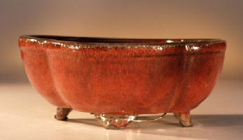 unknown Parisian Red Ceramic Bonsai Pot<br>Round Petal Shape<br><i>6.0 x 4.75 x 2.5</i>