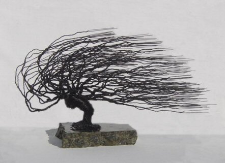 unknown Wire Bonsai Tree Sculpture - Windswept  Style