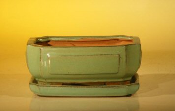 Light Green Ceramic Bonsai Pot - Rectangle Professional Series with ...