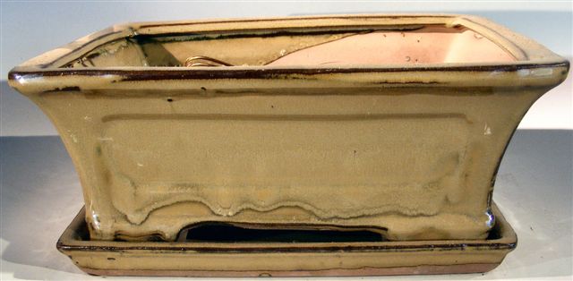 Olive Green Ceramic Bonsai Pot - Rectangle Professional Series with ...